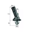 Thermostat d'eau MAHLE TI 202 82 - Visuel 1