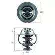 Thermostat d'eau MAHLE TX 200 90D - Visuel 1