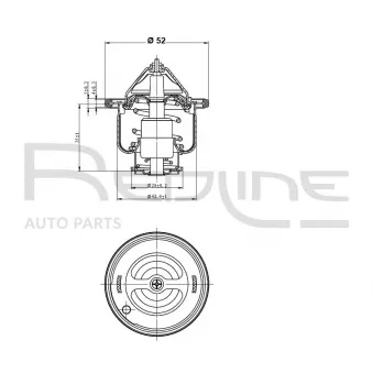 Thermostat d'eau RED-LINE 55DA000