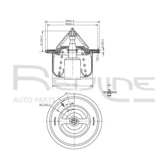 Thermostat d'eau RED-LINE