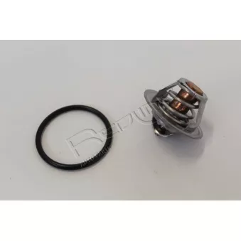 Thermostat d'eau RED-LINE 55MI006