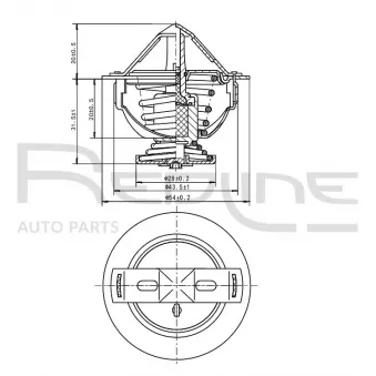 Thermostat d'eau RED-LINE 55RV002