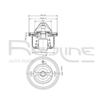 Thermostat d'eau RED-LINE 55SZ002