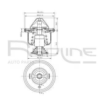 Thermostat d'eau RED-LINE 55TO004