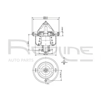 Thermostat d'eau RED-LINE 55TO006