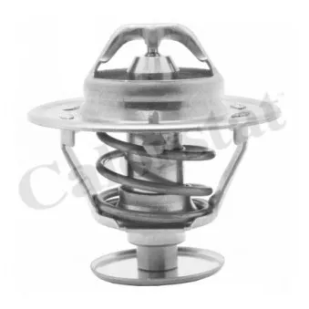 Thermostat d'eau CALORSTAT BY VERNET TH1419.77J
