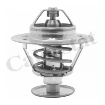 Thermostat d'eau CALORSTAT BY VERNET TH1538.82J