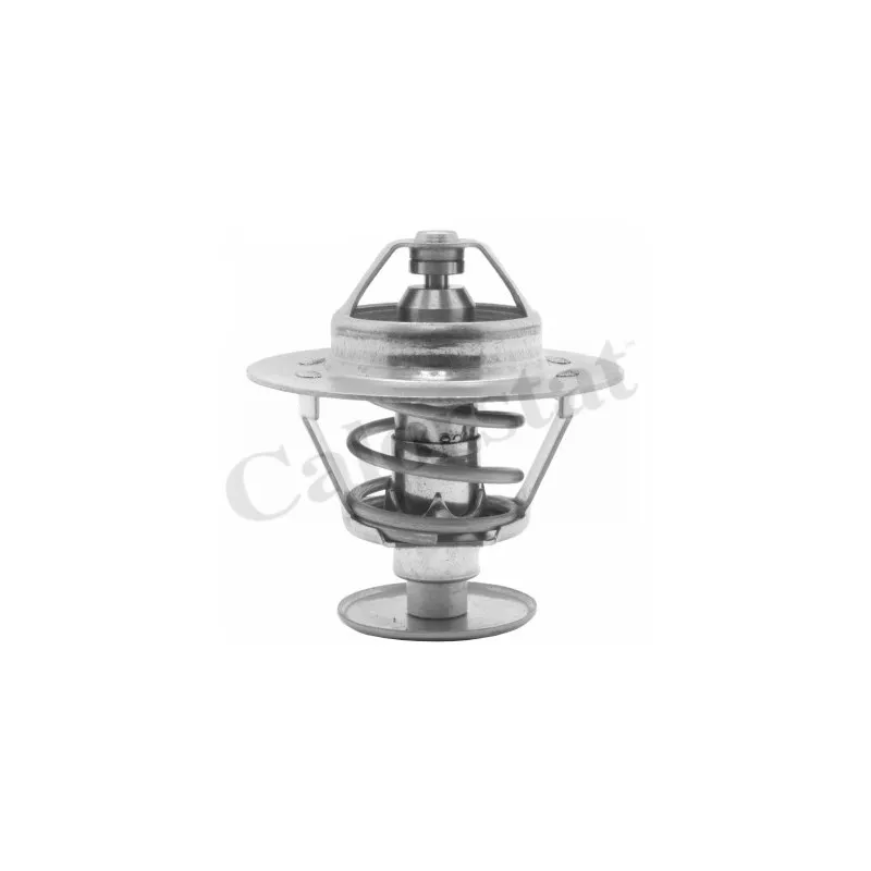 Thermostat d'eau CALORSTAT BY VERNET TH1538.82J