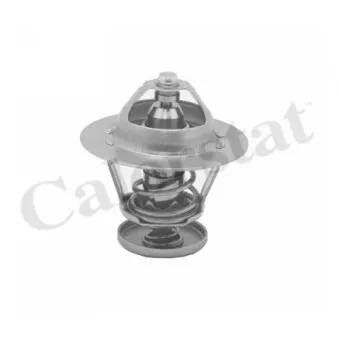 Thermostat d'eau CALORSTAT BY VERNET TH5077.88J