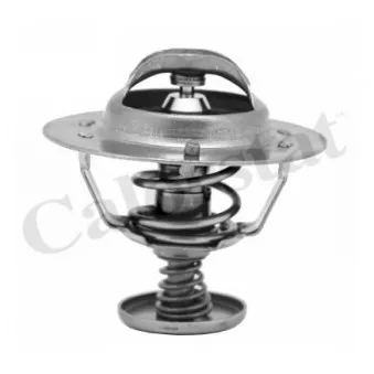 Thermostat d'eau CALORSTAT BY VERNET TH6583.88J