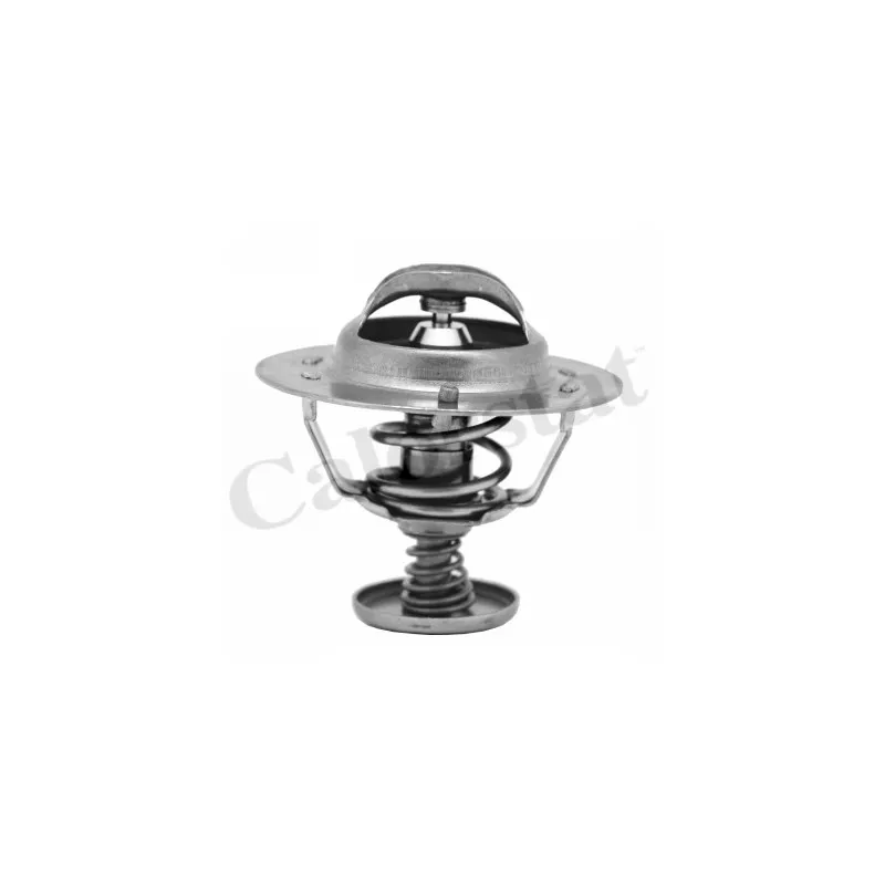 Thermostat d'eau CALORSTAT BY VERNET TH6583.88J