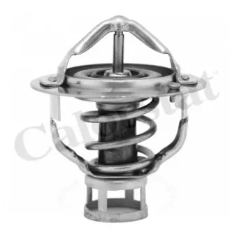 Thermostat d'eau CALORSTAT BY VERNET TH6851.76