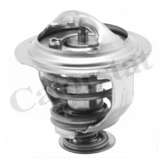 Thermostat d'eau CALORSTAT BY VERNET TH7233.95J