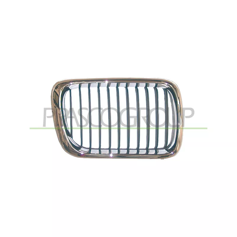 Grille de radiateur PRASCO BM0142124