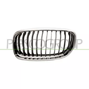 Grille de radiateur PRASCO BM0262014