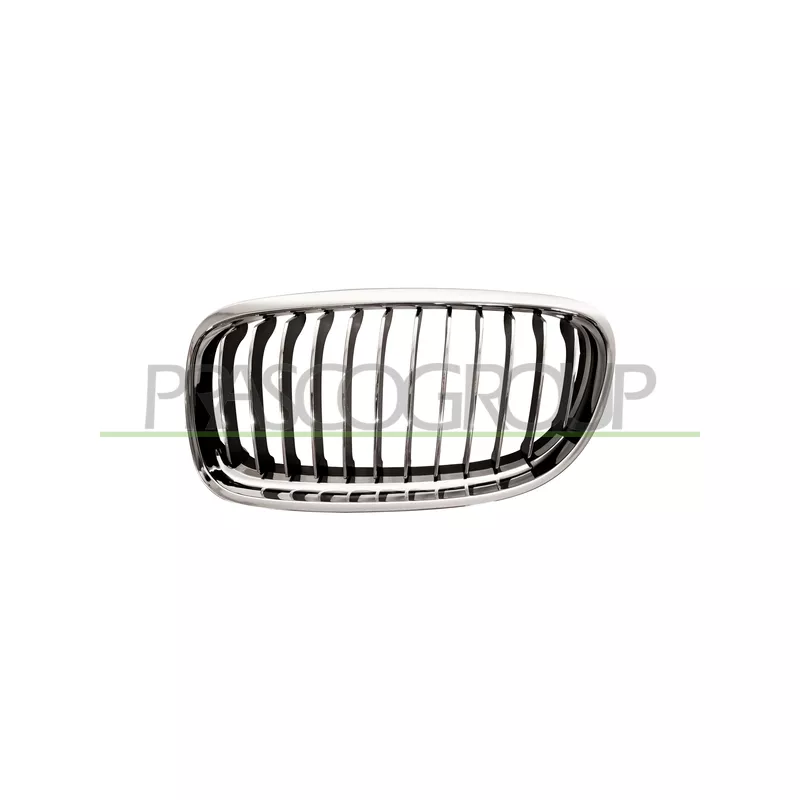 Grille de radiateur PRASCO BM0262014