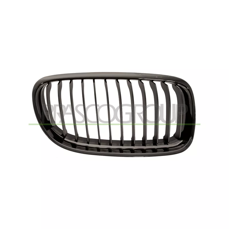 Grille de radiateur PRASCO BM0262023