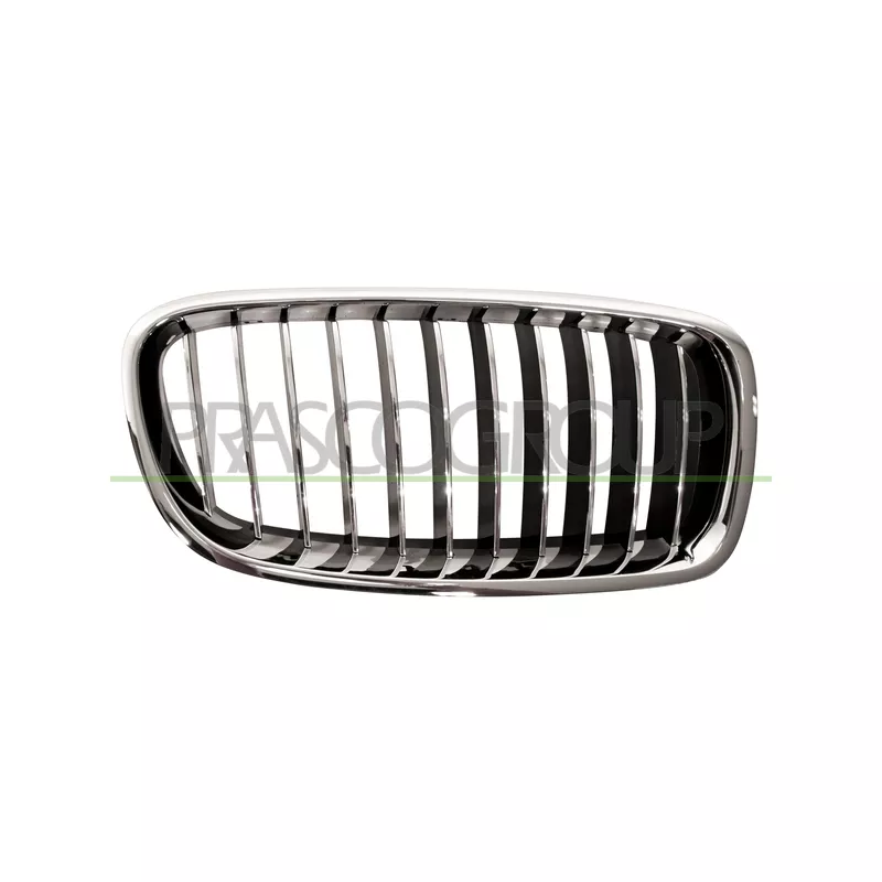 Grille de radiateur PRASCO BM0282013