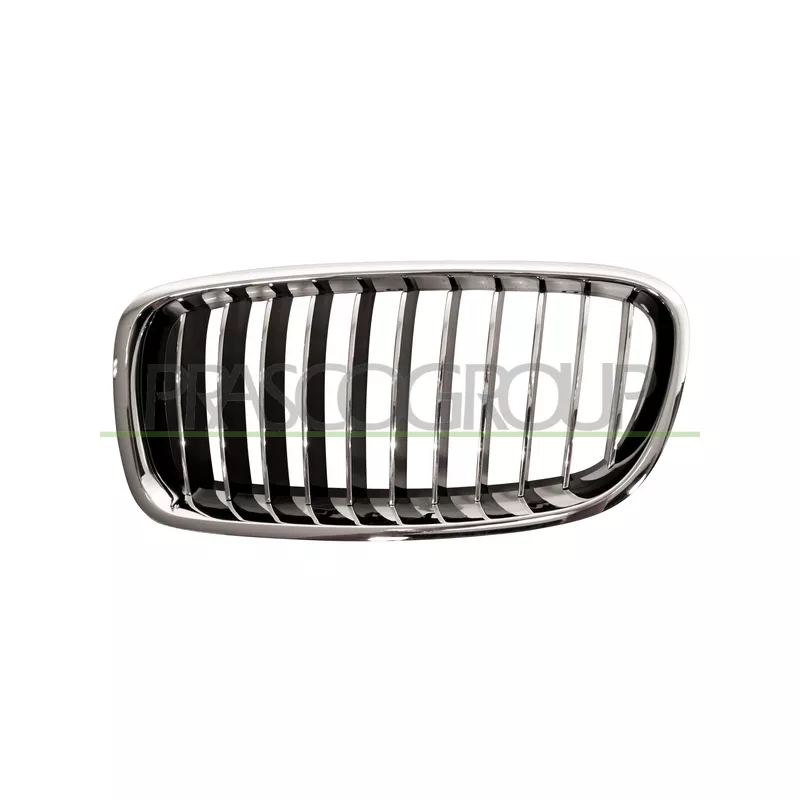 Grille de radiateur PRASCO BM0282014