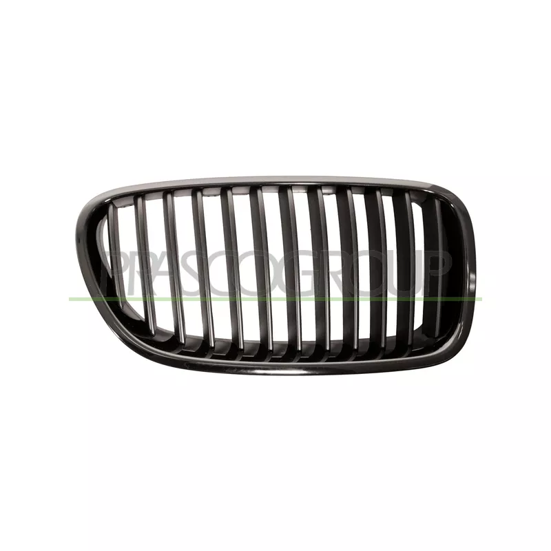 Grille de radiateur PRASCO BM0482003