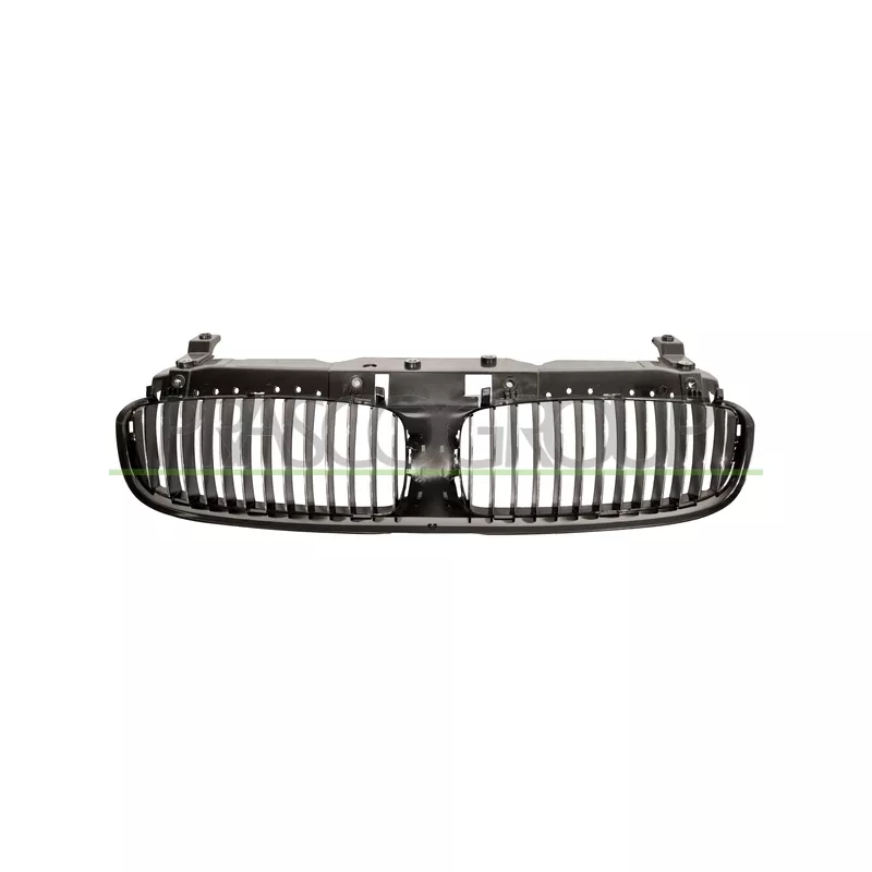 Grille de radiateur PRASCO BM1002001