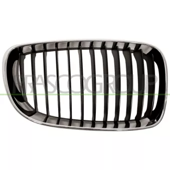 Grille de radiateur PRASCO BM1212003