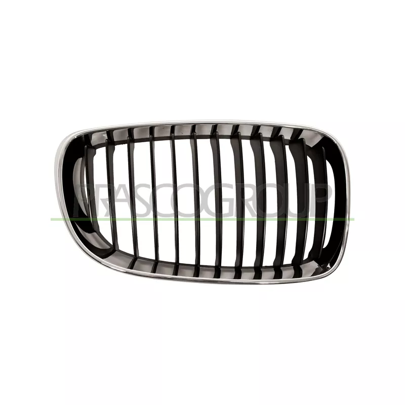 Grille de radiateur PRASCO BM1212003