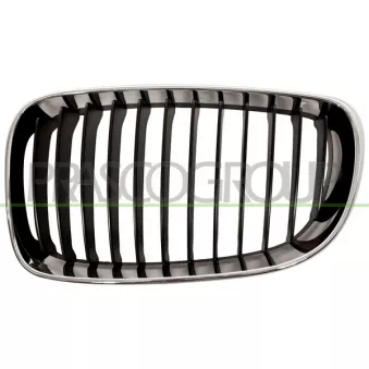 Grille de radiateur PRASCO