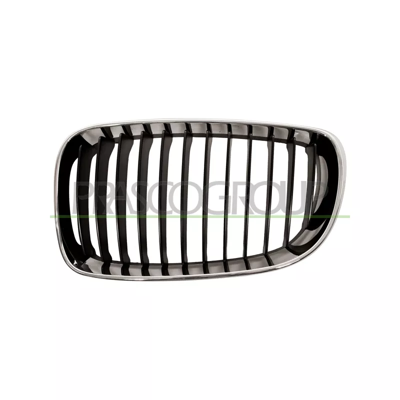 Grille de radiateur PRASCO BM1212004