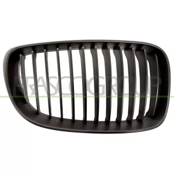 Grille de radiateur PRASCO