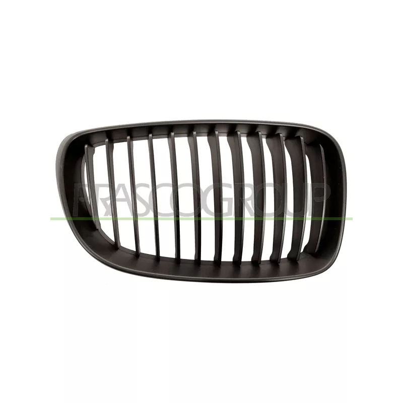 Grille de radiateur PRASCO BM1212013