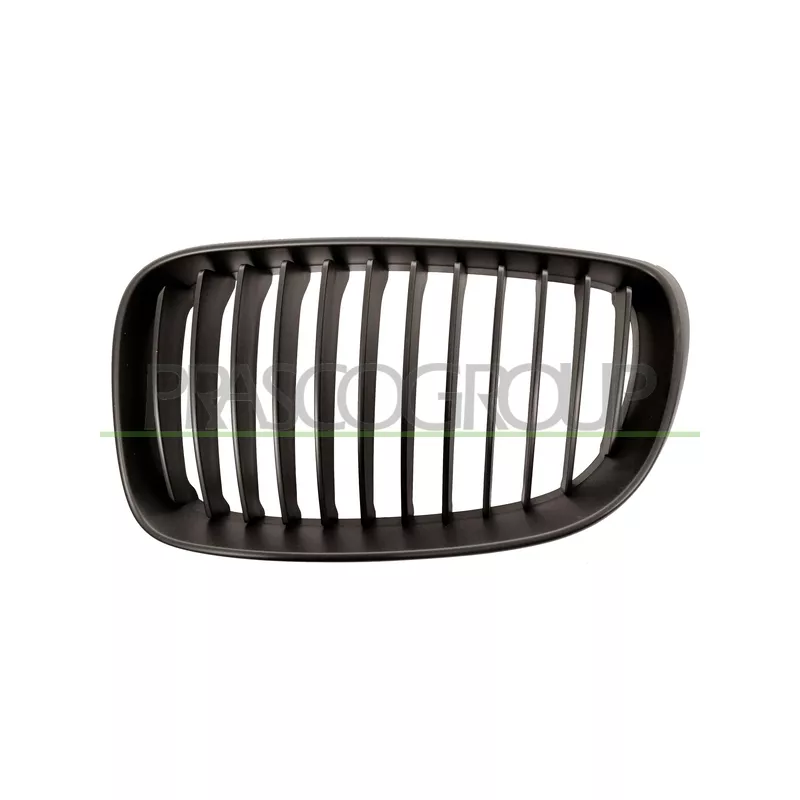 Grille de radiateur PRASCO BM1212014