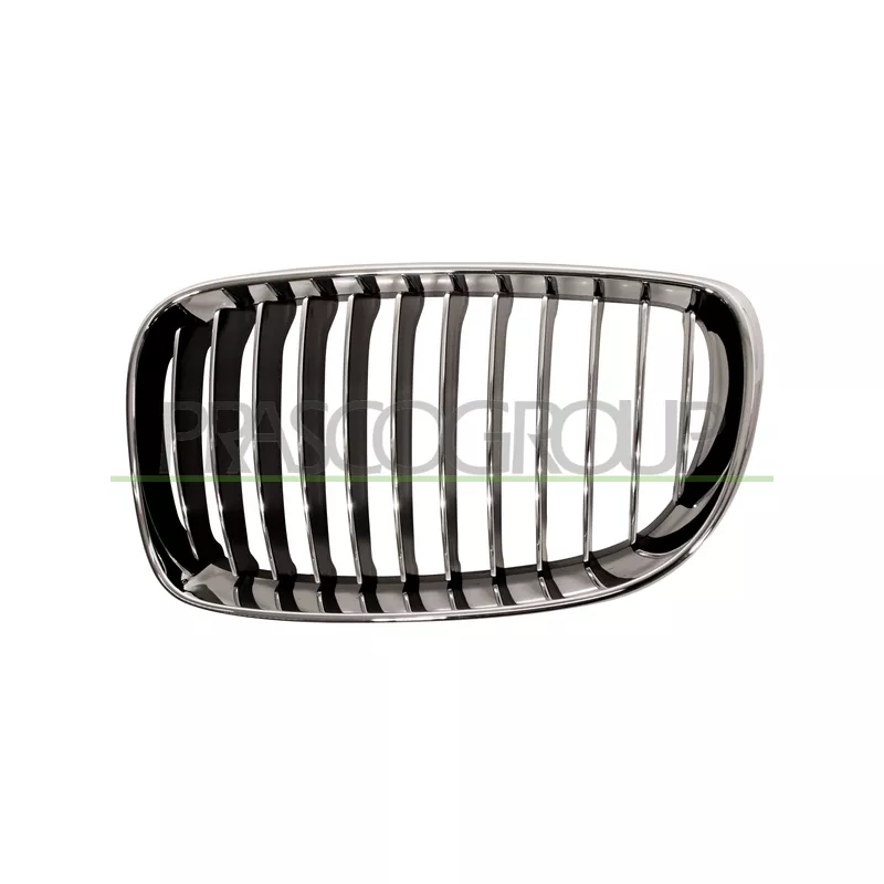 Grille de radiateur PRASCO BM1212024