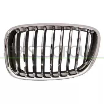 Grille de radiateur PRASCO BM5002004