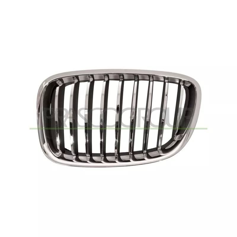 Grille de radiateur PRASCO BM5002004