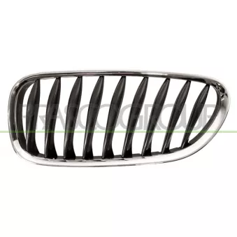 Grille de radiateur PRASCO BM6242004