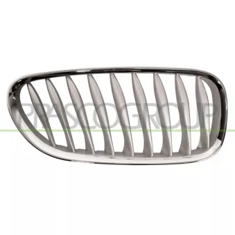 Grille de radiateur PRASCO