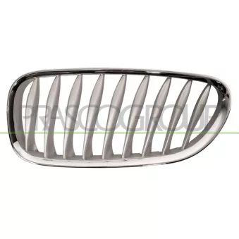 Grille de radiateur PRASCO BM6242014