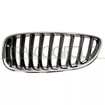 Grille de radiateur PRASCO BM6282004