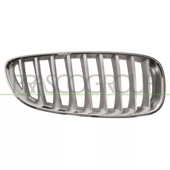 Grille de radiateur PRASCO BM6282013