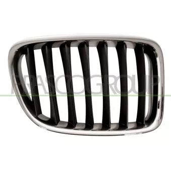 Grille de radiateur PRASCO BM7022023