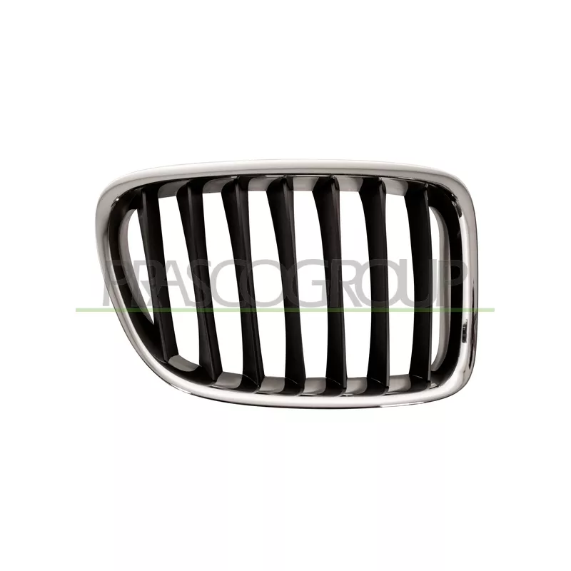 Grille de radiateur PRASCO BM7022023