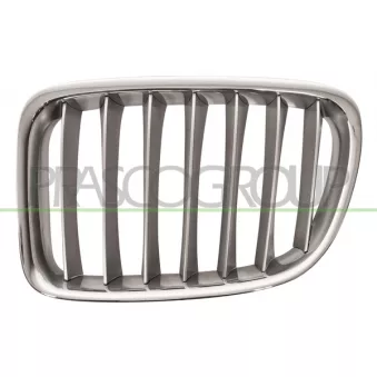 Grille de radiateur PRASCO BM7022034