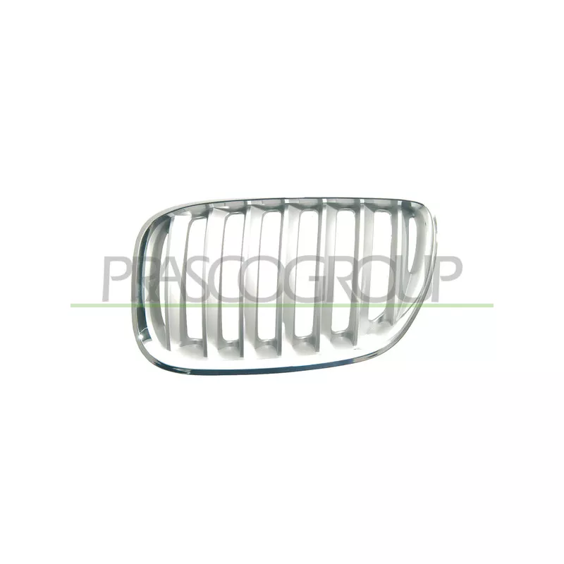 Grille de radiateur avant gauche PRASCO BM8202034