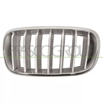 Grille de radiateur PRASCO