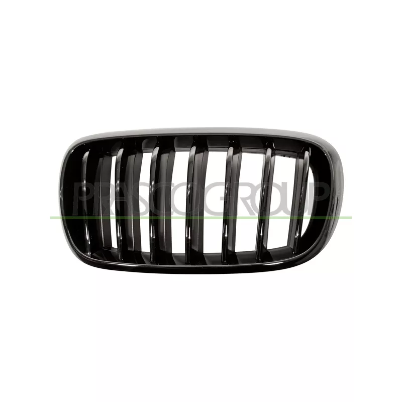 Grille de radiateur PRASCO BM8272004