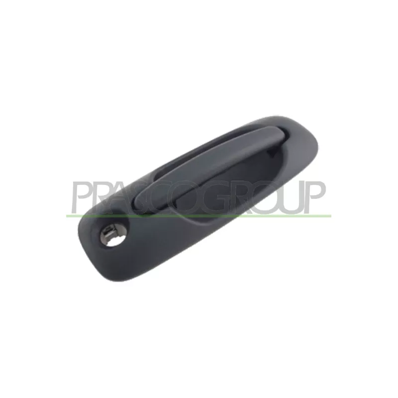 Poignée extérieure de porte PRASCO DG0058141