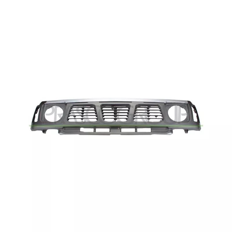 Grille de radiateur PRASCO DS2702011