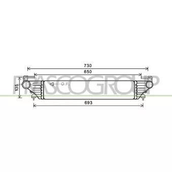 Intercooler, échangeur PRASCO FT040N001