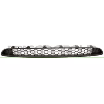 Grille de radiateur PRASCO FT3462001